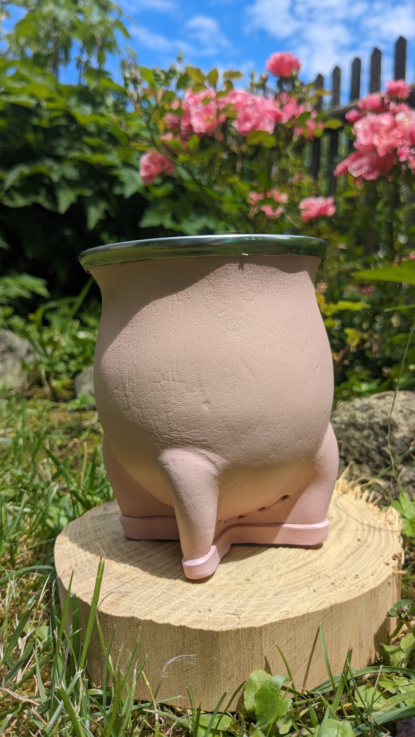 Mate Camionero Rosa - Der Kleine Markt